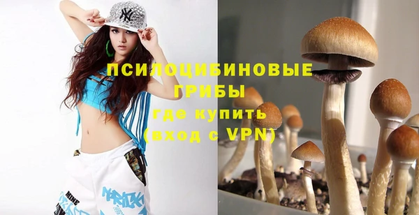 крисы Алексеевка