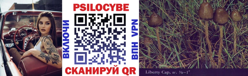 Галлюциногенные грибы прущие грибы  Кувшиново 